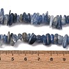 Natural Kyanite/Cyanite/Disthene Chip Beads Strands G-E271-78-4
