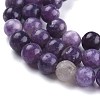 Natural Lepidolite/Purple Mica Stone Beads Strands X-G-K415-6mm-4