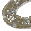 Transparent Glass Beads Strands EGLA-A044-T1mm-MB16-4