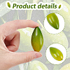Foam Imitation Olive AJEW-GF0013-46-6