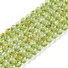 Natural Peridot Beads Strands G-K313-B01-02-1