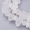 Natural Quartz Crystal Beads Strands G-F336-02-1