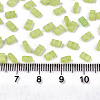 2-Hole Baking Paint Glass Seed Beads SEED-S031-M-SH1204FR-2