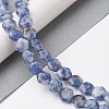 Natural Blue Spot Jasper Beads Strands G-K359-C17-01-2