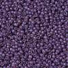 TOHO Round Seed Beads X-SEED-TR11-0928FM-2