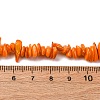 Natural Freshwater Shell Beads Strands BSHE-I016-01C-2