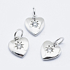 Brass Micro Pave Cubic Zirconia Charms LS-RB-I078-67P-NR-1