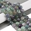 Natural Fluorite Beads Strands G-P530-B04-05-2