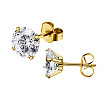 Stainless Steel Micro Pave Cubic Zirconia Stud Earrings PW-WG005C9-06-1