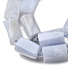 Natural Blue Lace Agate Beads Strands GG-CBA8682-A03-4