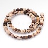 Frosted Round Natural Zebra Jasper Beads G-J338-01-6mm-2