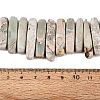 Natural Variscite Beads Strands G-Q616-06E-4