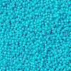MIYUKI Round Rocailles Beads X-SEED-G008-RR4480-3