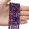 Natural Amethyst Beads Strands G-Z119-A40-02-2
