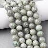 Natural Chinese Jade Southern Jade Beads Strands G-H343-D08-12mm-1