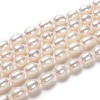 Natural Cultured Freshwater Pearl Beads Strands PEAR-L033-71-01-1