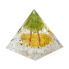 Orgonite Pyramid Resin Energy Generators DJEW-PW0012-020D-2