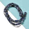 Natural Sodalite Beads Strands G-G085-A18-01-2