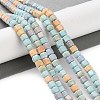 Natural Rainbow Alashan Agate Beads Strands G-NH0022-J01-01-2