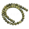 Natural Taiwan Jade Beads Strands X-GSR032-8