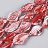 Handmade Lampwork Beads Strands LA-N046-02K-1