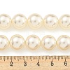 Glass Pearl Beads Strands HY-G002-01F-02-5