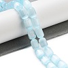 Natural Selenite Beads Strands G-F750-B-03-2