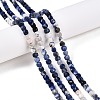 Gradient Color Natural Sodalite Beads Strands G-N342-114-5