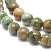 Natural Rhyolite Jasper Beads Strands G-F674-03AB-6mm-3