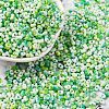 Baking Paint Glass Seed Beads SEED-C003-01E-1