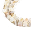 Natural Freshwater Shell  Beads Strands BSHE-H109-11-4