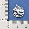 925 Sterling Silver Charms STER-S009-01C-S-3