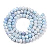 Faceted Electroplated Glass Beads Strands GLAA-C023-02-A04-2