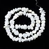 Natural Trochid Shell/Trochus Shell Beads Strands SSHEL-N034-78-A01-2