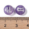 Natural Amethyst Beads G-L524-20H-03-3