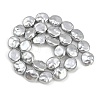 Electroplated Glass Beads Strands GLAA-H039-05B-2