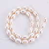 Natural Cultured Freshwater Pearl Beads Strands PEAR-Q015-036B-01-2
