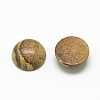 Natural Picture Jasper Cabochons X-G-R416-12mm-42-2
