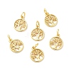 Brass Charms KK-Q403-01G-3