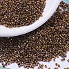 MIYUKI Delica Beads SEED-J020-DB0506-1