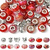 DIY Tibetan Style Alloy & Resin European Beads Making Finding Kits DIY-FS0006-78E-2