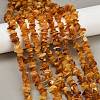 Natural Amber Beads Beads Strands G-Q060-C05-1