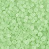 FGB Frosted Transparent Glass Seed Beads SEED-N013-04A-08-3