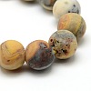 Frosted Natural Crazy Lace Agate Round Bead Strands G-M063-10mm-02-2