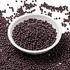 MIYUKI Round Rocailles Beads SEED-X0055-RR0497-2