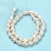 Natural Cultured Freshwater Pearl Beads Strands PEAR-E016-192-3