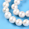 Natural Cultured Freshwater Pearl Beads Strands PEAR-N016-11B-4