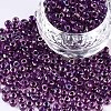 6/0 Glass Seed Beads X-SEED-A016-4mm-213-1