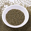 MIYUKI Delica Beads SEED-MY11-DB0288-2