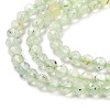 Natural Prehnite Beads Strands LS-G-G161-A13-03-4
